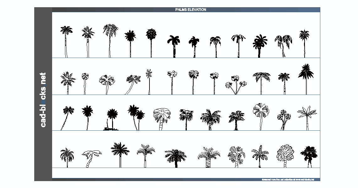 palms cad blocks in elevation view