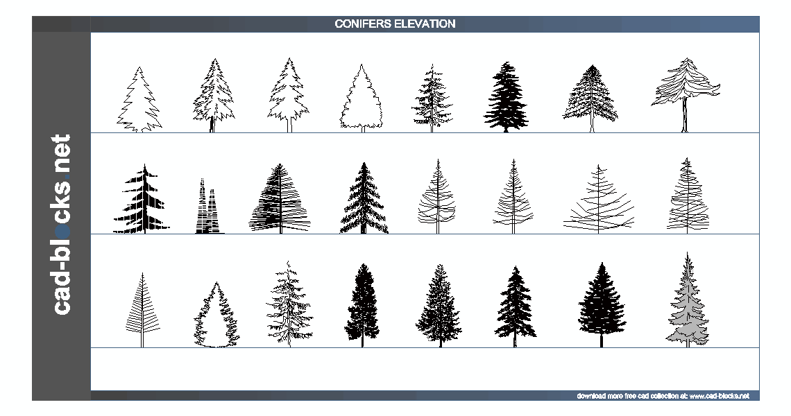 conifers cad blocks in elevation view