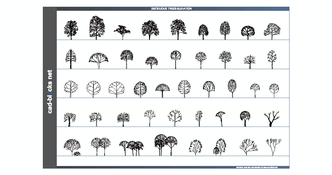 deciduous trees in elevation view cad blocks