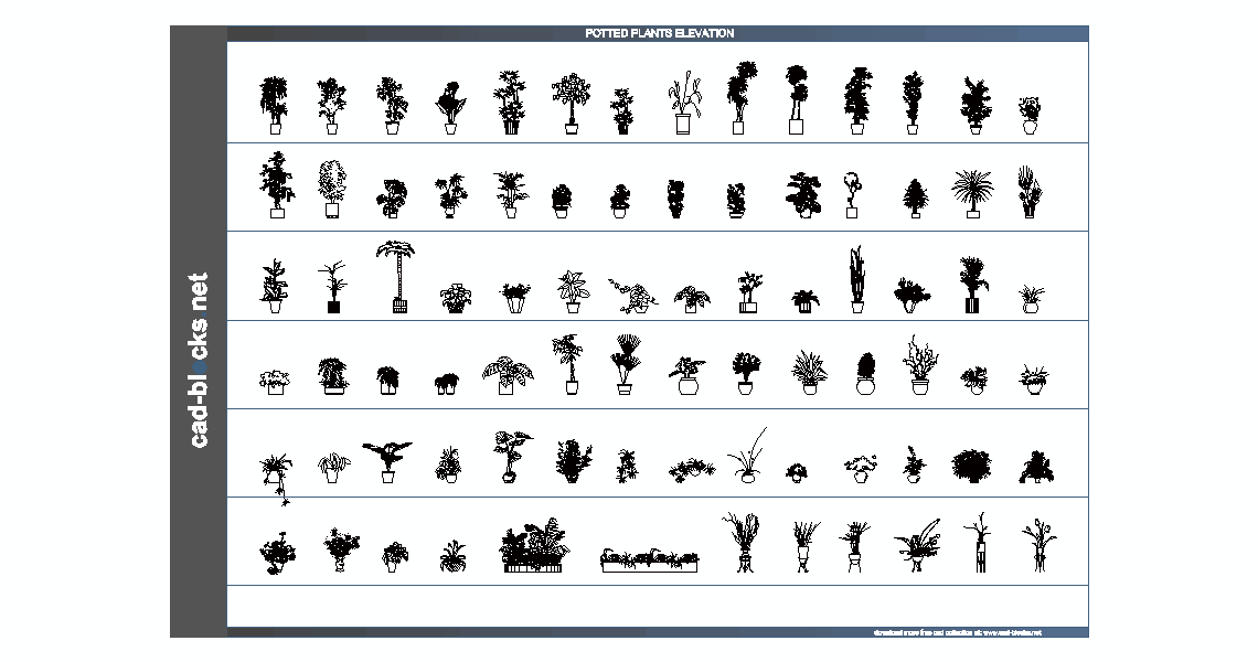 potted plants cad blocks in elevation view
