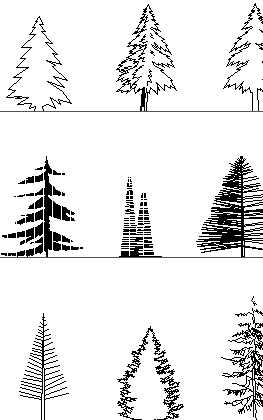 conifers elevation cad blocks