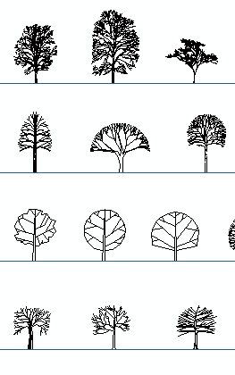 deciduous trees elevation cad blocks