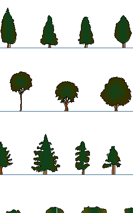 simple trees elevation color cad blocks